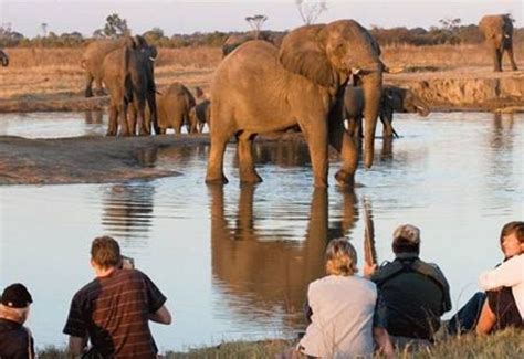 Hwange National Park, bulawayo, Zimbabwe - Top Attractions, Things to ...