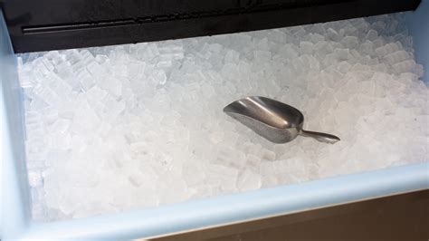 The gross truth about slime and mold on restaurant ice machines