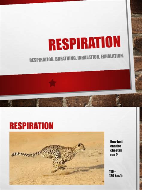 Free Science Lessons Respiration 的图像结果