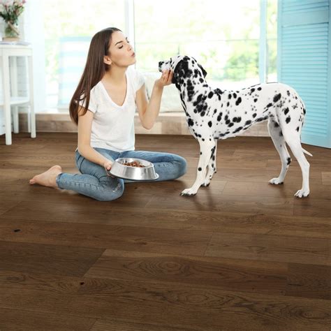Best Engineered Wood Flooring For Dogs – Flooring Site