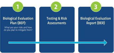 Image result for Biocompatibility Test