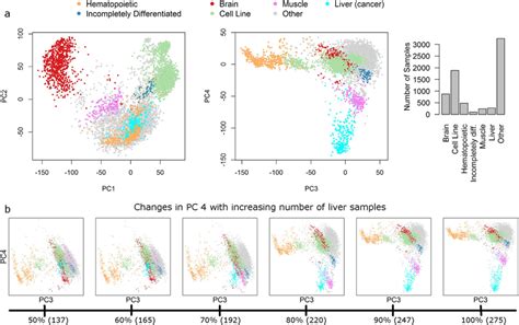 PCA in Biostatistics 的图像结果