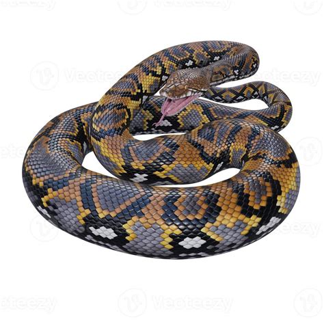 Image result for Reticulated Python Pattern