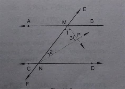 if two parallel lines are intersected by a transversal , prove that the ...