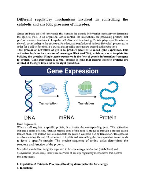 Regulatory Mechanisms in Microbial Metabolism: Fermentation & Beyond ...