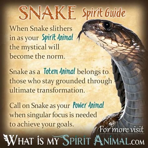 Snake Symbolism & Meaning | Spirit, Totem & Power Animal | Animal ...