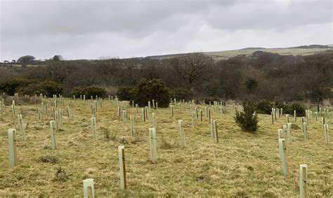 South West Water Plants 390,000 Trees Across Devon and Cornwall to Improve Water Quality and ...