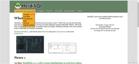 HeidiSQL 的图像结果