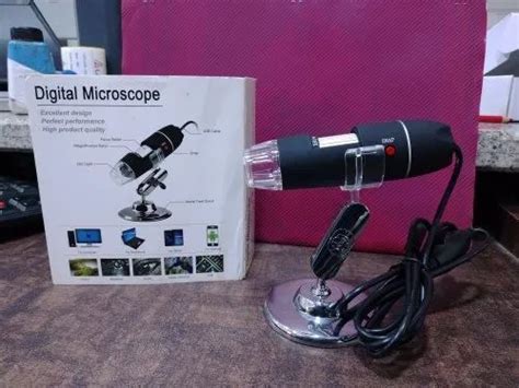 Biological Model - Human Ear Model Wholesale Trader from New Delhi