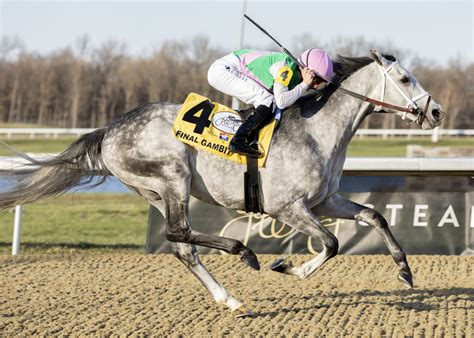 Final Gambit - Racing