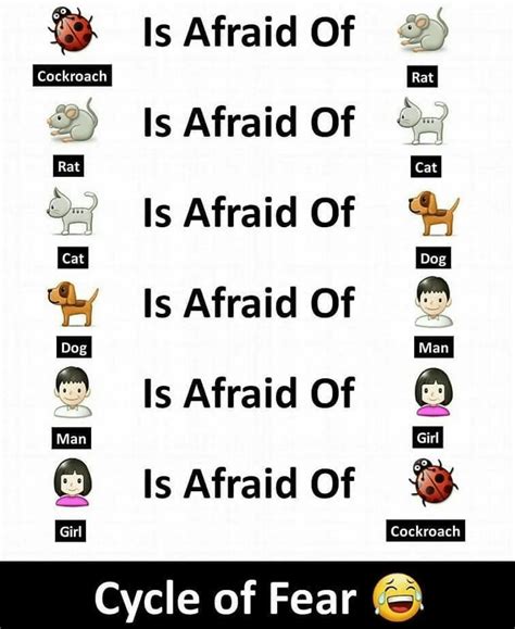 Cycle of fear : r/MenAndFemales
