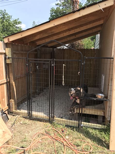 diy dog kennel