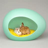 Image result for Bunny Beds for Rabbits