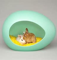 Image result for Baby Bunny Beds