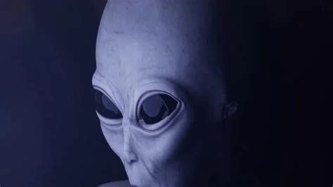 Alien Abduction Small Grey's 的图像结果