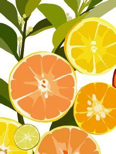 ไอเดีย น้ำส้มออนไลน์ 19 รายการ | น้ำผลไม้, การออกแบบแบรนด์, โปสเตอร์ ...