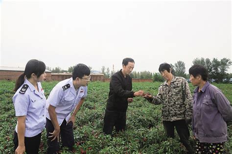 辽宁省新邱区税务局干部和农技推广专家一起，在现场指导农户进行后期采收工作