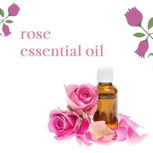 Buy Keya Seth Aromatherapy Skin Hydrating Rose Toner Nourishing Anti ...