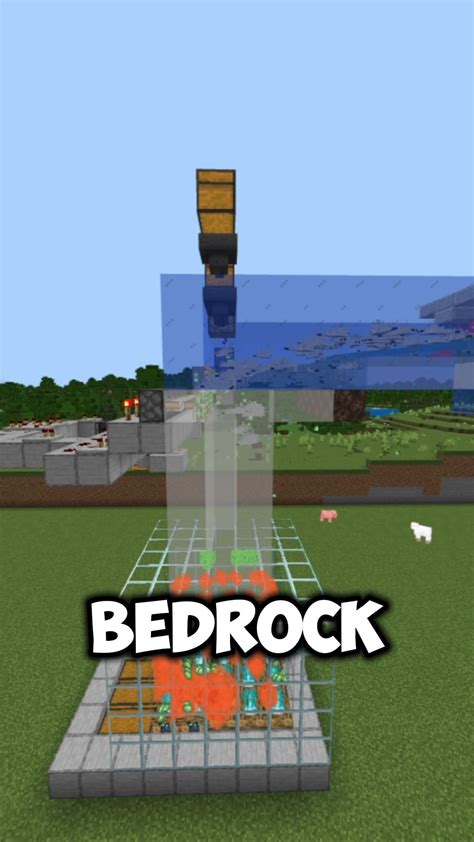 Image result for Granja De Oro Java 1.17 Java