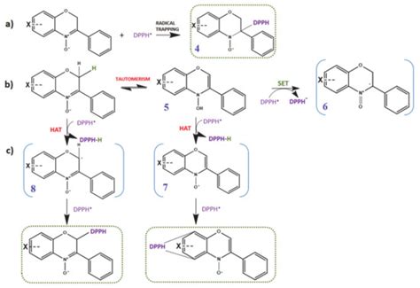 Insights into the Antioxidant Mechanism of Newly Synthesized ...