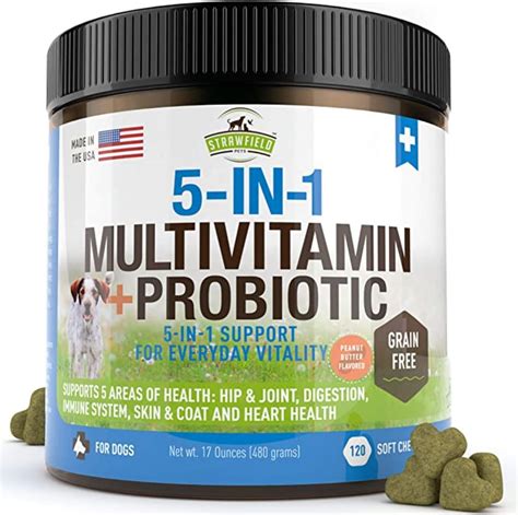 The Best Vitamin For Dogs: Essential Choices Your Pup Needs