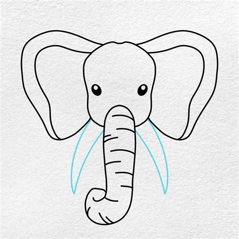 How To Draw A Baby Elephant Face at Richard Peay blog