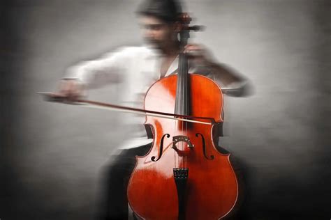 Cello String Notes: Mastering The Basics For Beginners | Ted's List