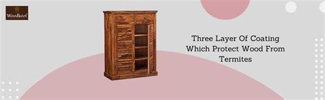DIA Chitra Furniture Solid SHEESHAM Wood Shoe Racks 2 Door and 2 Drawer ...