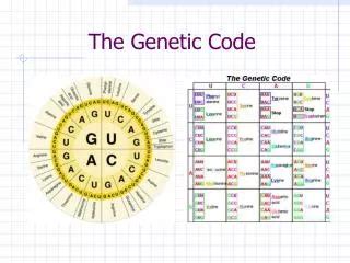 Image result for Genetic Code Videos