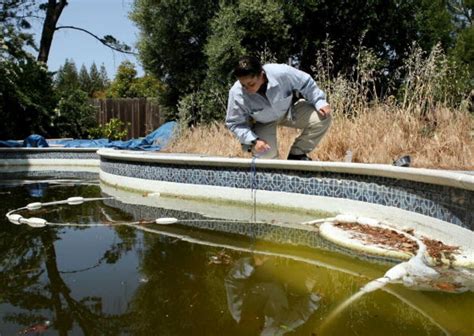 How to Keep Play Pools Clean 的图像结果