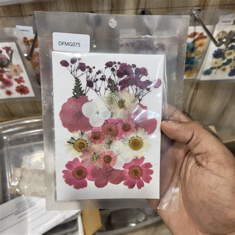 Pressed Flower DFMG075 – insane craft supplies