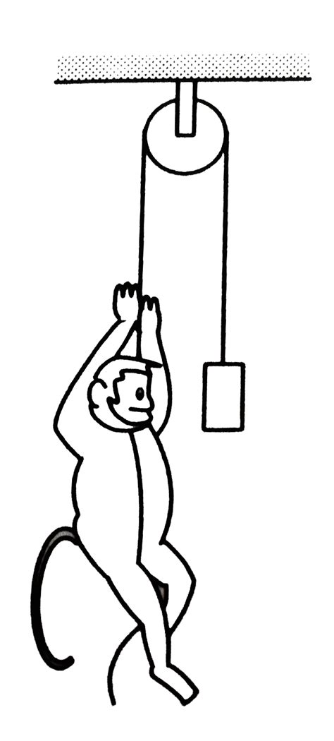 A Monkey is Climbing on a Rope that Goes Over a Smooth Light Pulley and ...