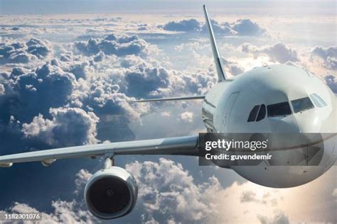 Fly Front View 的图像结果