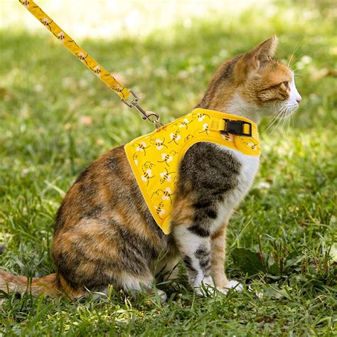 Buy Forwardog Escape Proof Cat Harness with Leash and Collar - Bright ...