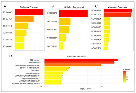 Revealing Key Genes and Pathways in Potato Scab Disease Resistance ...