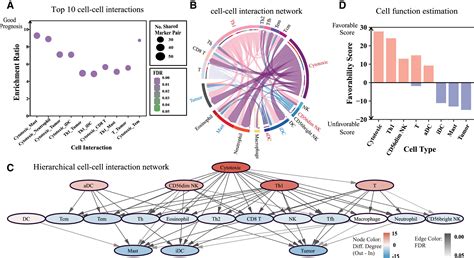 TimiGP: Inferring cell-cell interactions and prognostic associations in the tumor immune ...