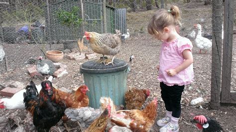 CLOUD END BED & BREAKFAST (Kyneton) - Villa Reviews & Photos - Tripadvisor