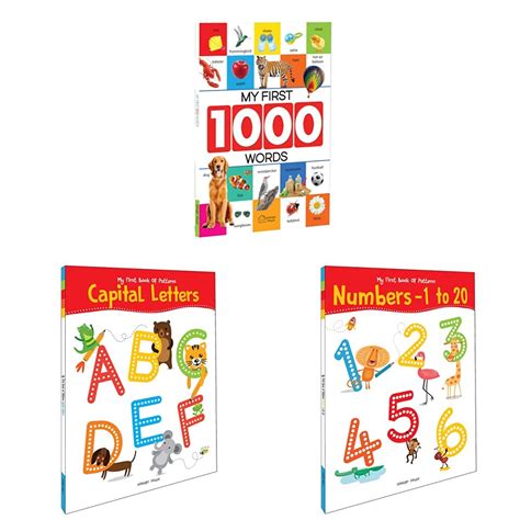 Buy My First 1000 Words: Early Learning Picture Book t+My First Book of ...