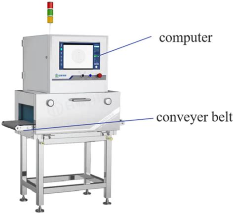 Non-Destructive Detection of Pomegranate Blackheart Disease via Near ...