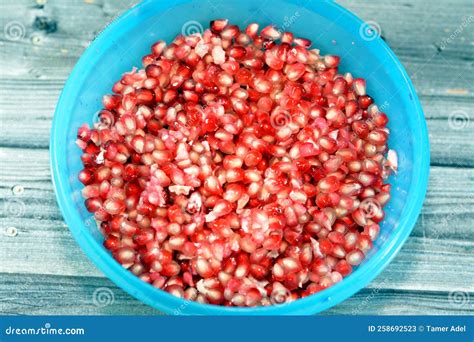 The Pomegranate (Punica Granatum), a Fruit-bearing Deciduous Shrub in the Family Lythraceae ...