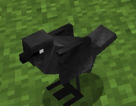 Image result for Minecraft Crow Mod