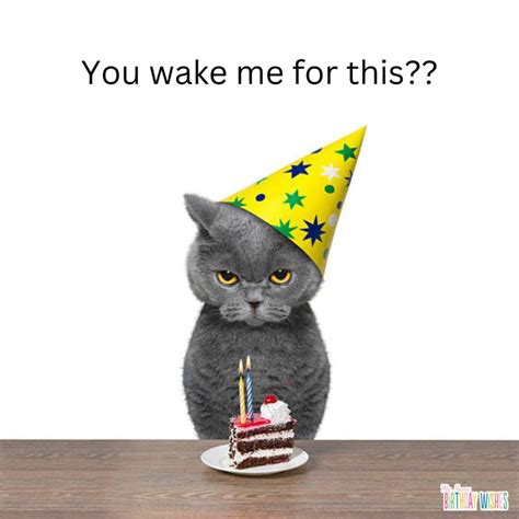 372 Funny Happy Birthday Memes Wishes With Pictures F - vrogue.co