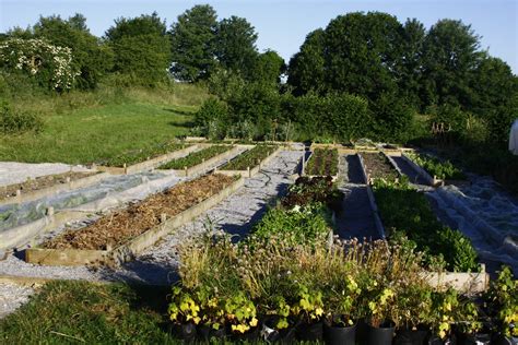 Local Production 的图像结果