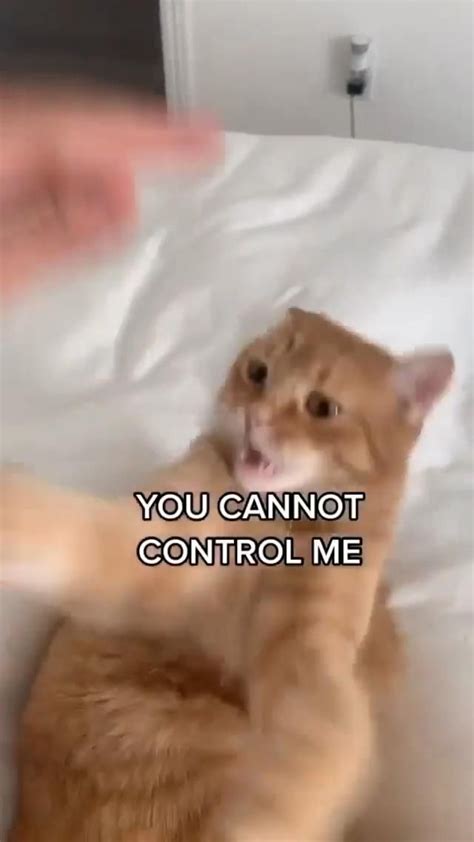 Image result for Control of Me