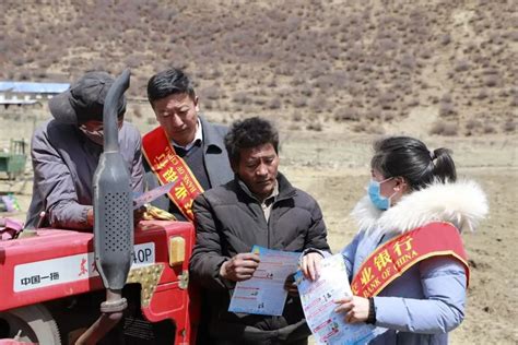 农行西藏分行助推新时代西藏长治久安和高质量发展纪实-新华网西藏频道