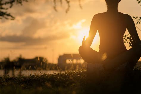 5 risk factors that affect life expectancy — Harvard Gazette