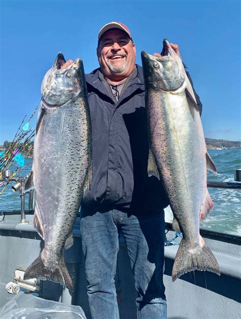 Image result for Blue Runner Fish Speed Video