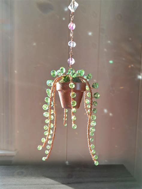 The Original Forever Succulent, String of Pearls, Beaded Succulent ...