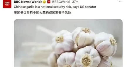 美议员指控中国大蒜对其构成重大国家安全风险，网友：无稽之谈 - 知乎