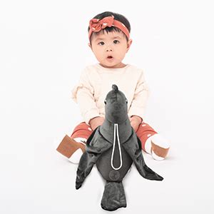 Buy CHI-CHIMPU Crow Soft Toy for Kids 37 cm | Plush Stuffed Bird Animal ...